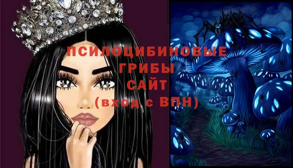 соль курить ск Алексеевка