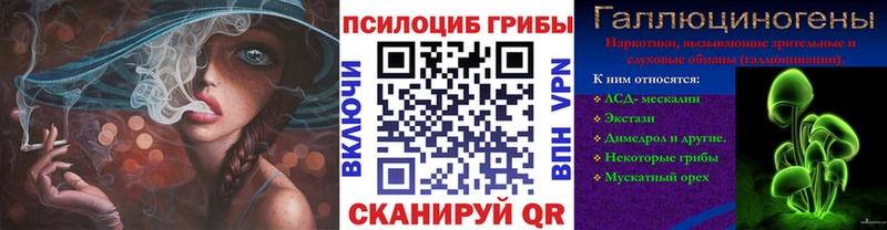 Галлюциногенные грибы MAGIC MUSHROOMS  даркнет сайт  Орлов 