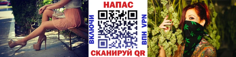 Каннабис сатива  Орлов 